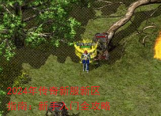 2024괫·ָϣȫ