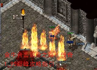 ţϻҵ֮·1.95۷幥ָ