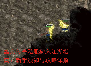 ά˽뽭ָϣ֪빥