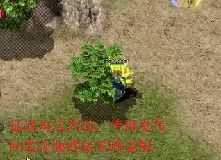 ս귨½淢°ռȫ