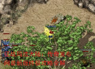 ս귨½淢°ռȫ