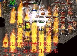 ְҵ΢˴أֹԣս