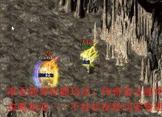 Ψư귨渴ŷɹָϡһ̽ʴ
