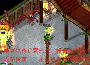Ψư귨渴ŷɹָϡһ̽ʴ