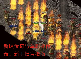뵥ְҵ棺ɨäָ