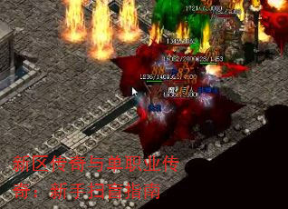 뵥ְҵ棺ɨäָ