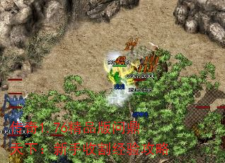 1.76Ʒʶ£ո鹥