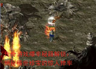 Ϸؼϡ䱦ľ˵