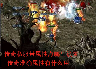 ˽Ե-׼ȷʲô