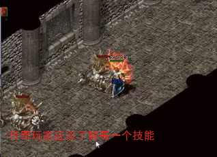 Ӧ˽ÿһ