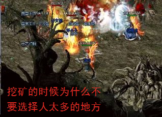 ڿʱΪʲôҪѡ̫ĵط