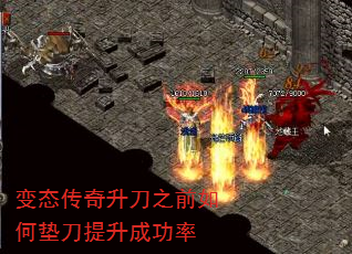 ̬֮ǰε浶ɹ