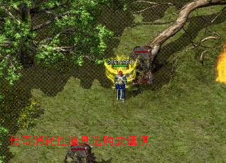 ԵѡҪ