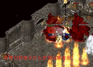 ҰΪʲôϲ