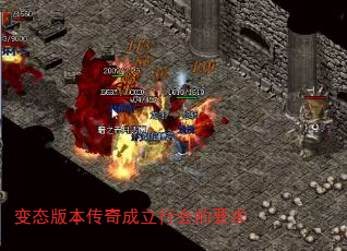 ̬汾лҪ