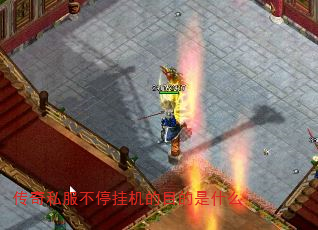 ˽ͣһĿʲô