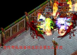 ڴ˽ѡְҵҪô