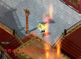 ֮Ϊʲô²