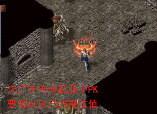 ʦڴ˽PKҪܺԼħֵ