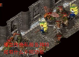 Ѫ˽ؽʲôͬ
