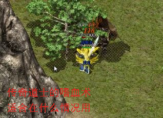 ʿѪʺʲô