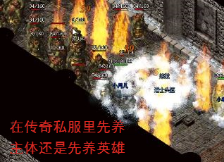 ڴ˽廹Ӣ