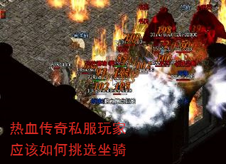 Ѫ˽Ӧѡ