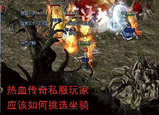 Ѫ˽Ӧѡ
