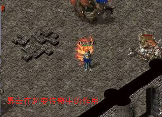 ڳ䴫е