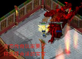 ̬Ҫѡʵı