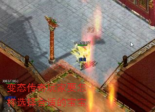 ̬Ҫѡʵı