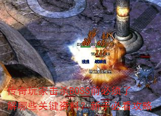 һɱBOSSǰ˽Щؼϣֱؿ