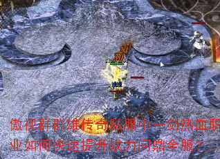ȺȺ۴˽һѪְҵοսʶȫ