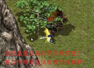 ʦѪξŴѪȫ