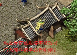 Ѫ˽޸ļЩֱؿָϣ