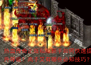 Ѫ˽οȼЩ֪ɣ