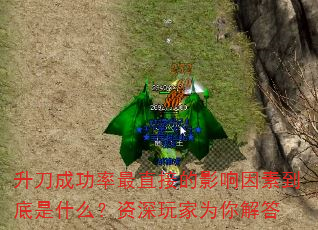 ɹֱӵӰصʲôΪ