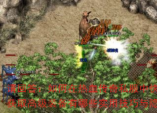 شѪ˽пȡ߼װЩʵüؾ