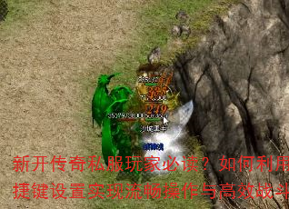 ¿˽ұضÿݼʵЧս