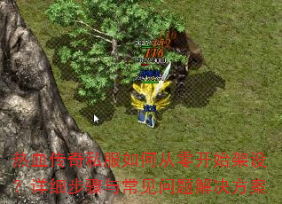 Ѫ˽δ㿪ʼ裿ϸ볣