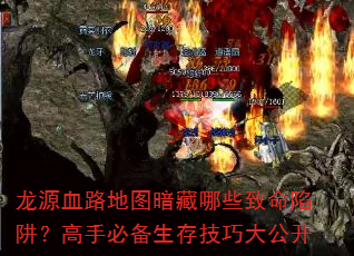 ԴѪ·ͼЩ壿ֱر漼ɴ󹫿