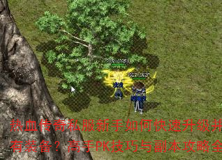 Ѫ˽οȡϡװPK븱ȫ