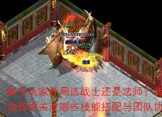 ҿѡսʿǷʦְҵѡעЩܴŶЭ