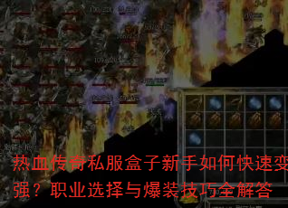 Ѫ˽οٱǿְҵѡ뱬װȫ
