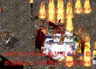 ν봫˽ξ֮·ؿɴ