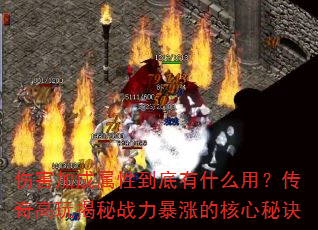 ˺ӳԵʲôãսǵĺؾ