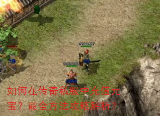 ڴ˽гֵԪȫԽ