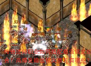 淨ʦְҵδǿϣ߱ƼЩ