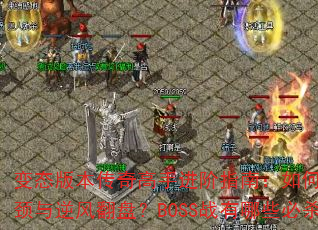̬汾ָֽϣͻսƿ緭̣BOSSսЩɱɣ