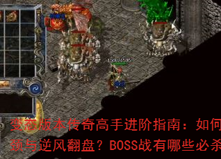 ̬汾ָֽϣͻսƿ緭̣BOSSսЩɱɣ